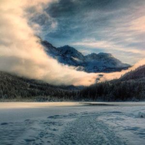 Meet your Posher, Frederic